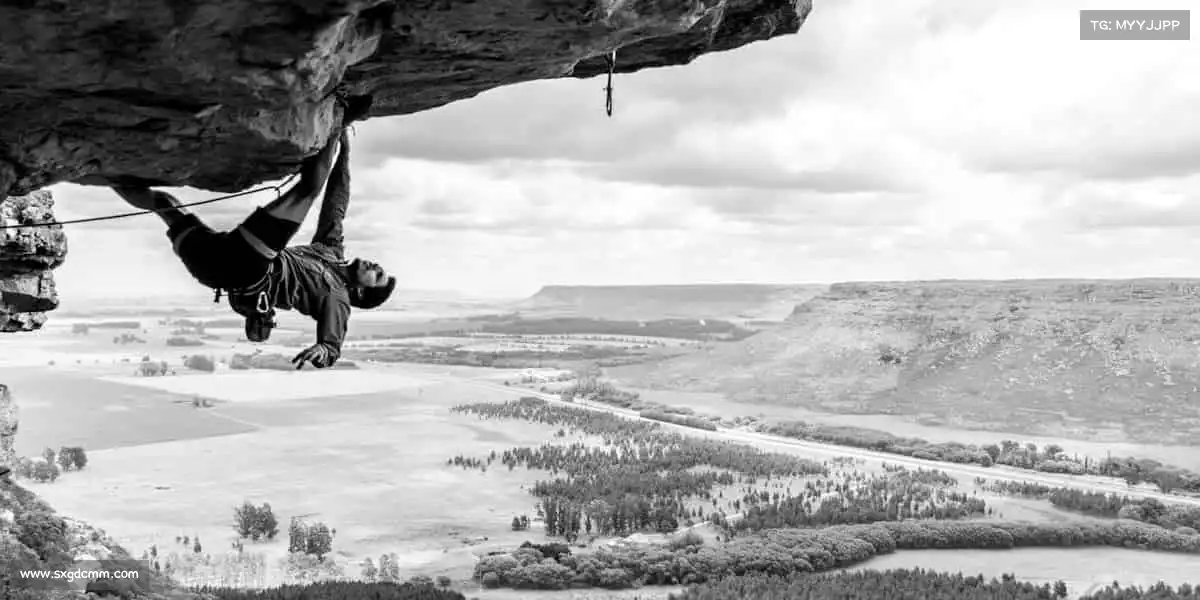 为什么选择我们